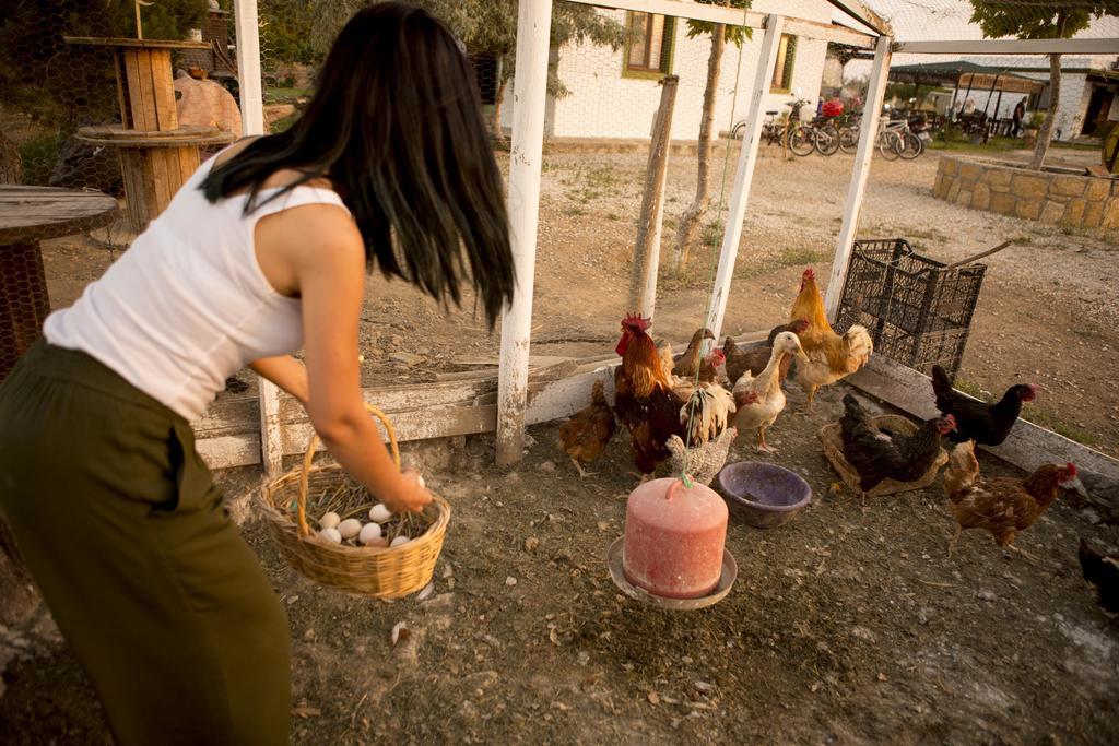 Bagban Bozcaada Bed & Breakfast エクステリア 写真