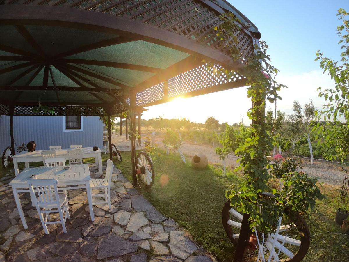Bagban Bozcaada Bed & Breakfast エクステリア 写真